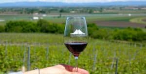 Les vins d’Auvergne
