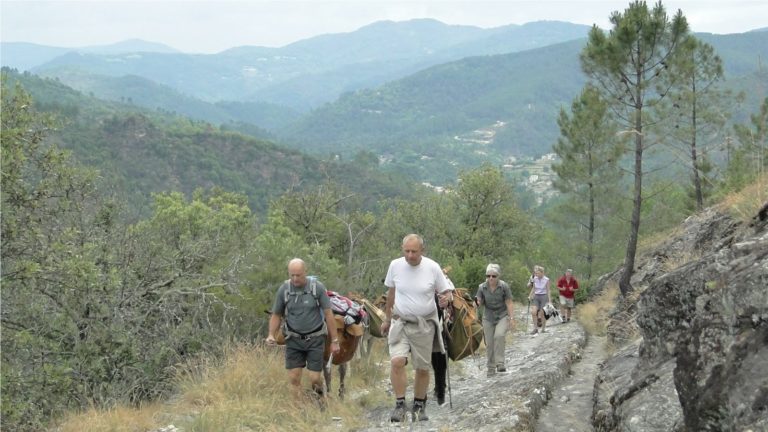Le sentier Stevenson, un sentier de randonnée thématique dans le sud de l’Auvergne
