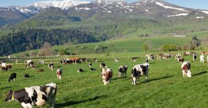 Envie de découvrir l&rsquo;Auvergne à cheval ?