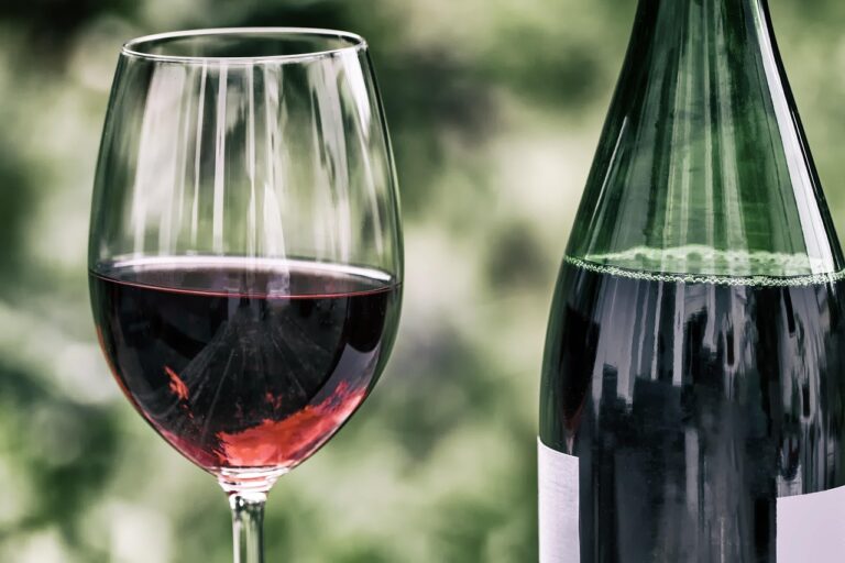 Où déguster les meilleurs vins en Auvergne ?