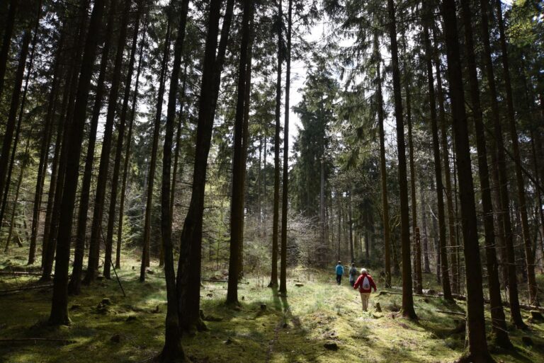 Partez-vous en retraite sportive en Auvergne ?