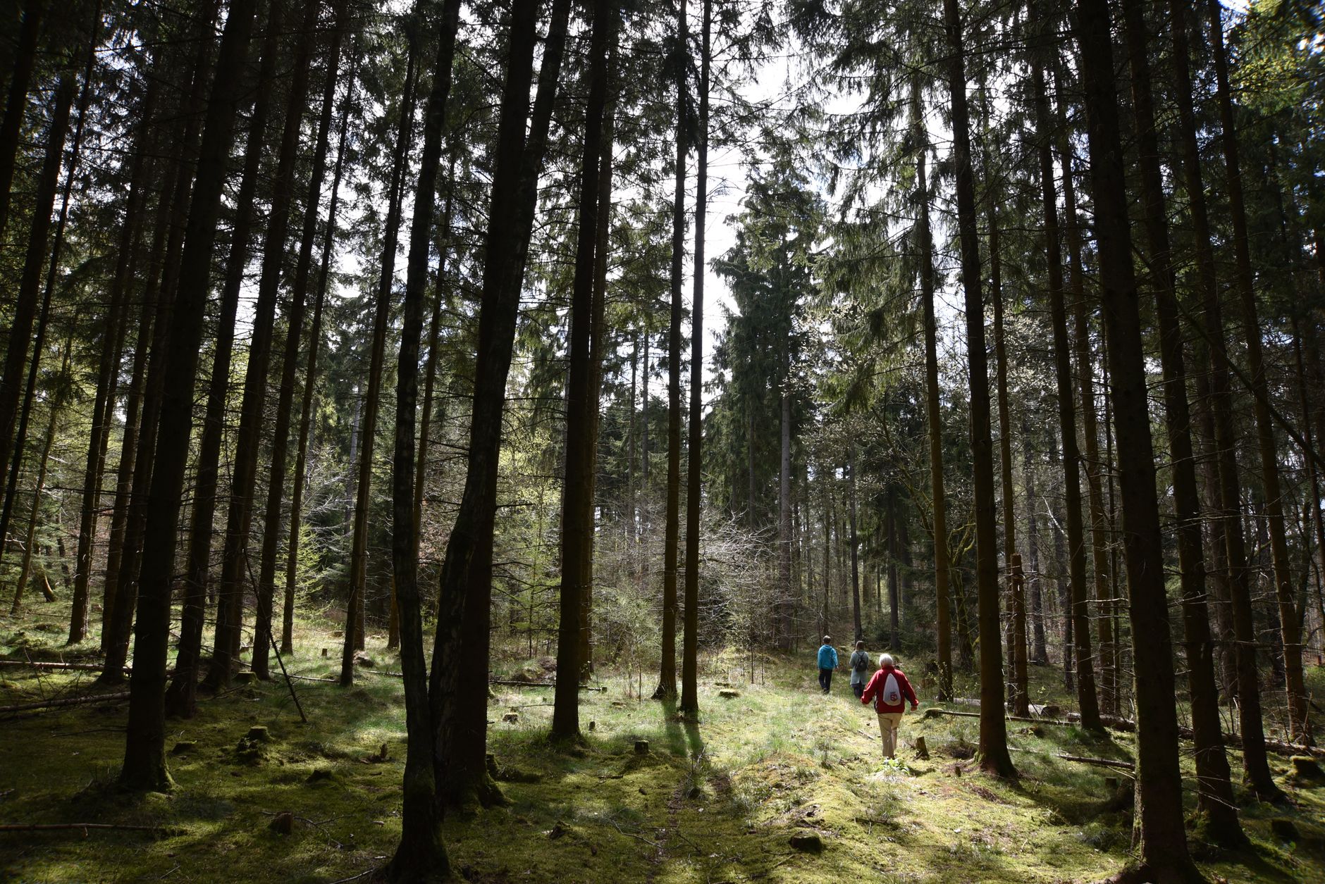 Partez-vous en retraite sportive en Auvergne ?