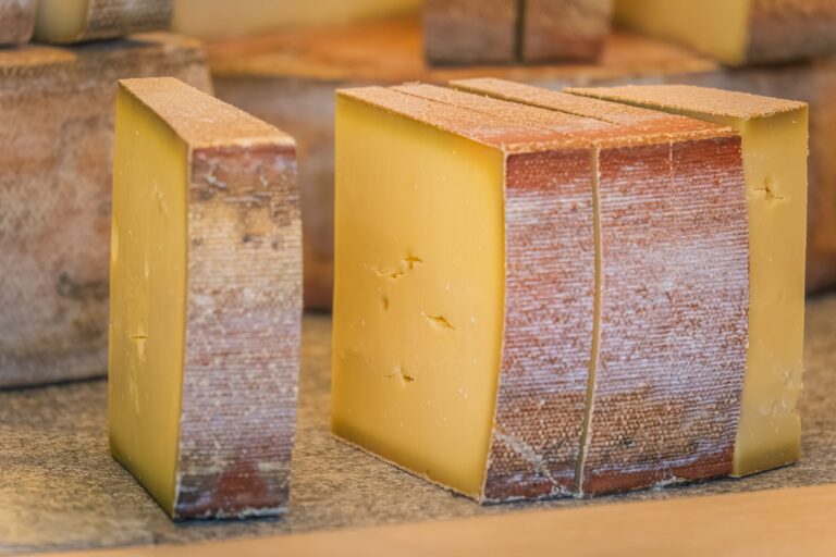 Quelles spécialités gastronomiques découvrir lors d&rsquo;une retraite en Auvergne ?
