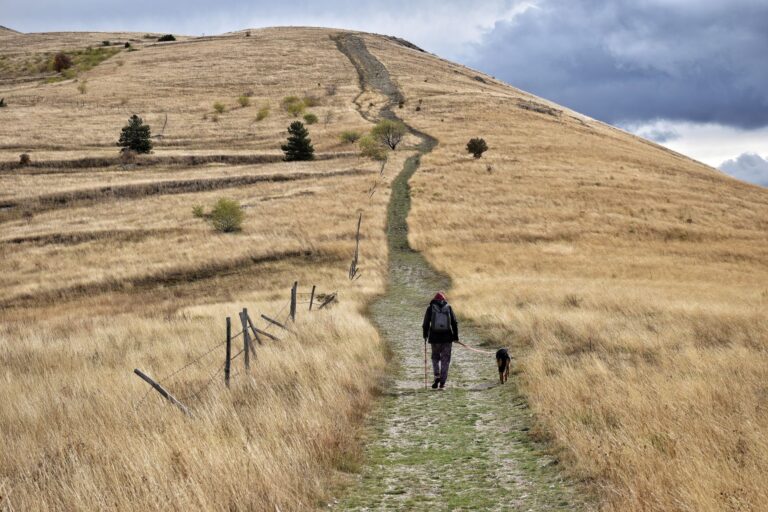 Quelles activités pratiquer lors de vacances en pleine nature en Auvergne ?
