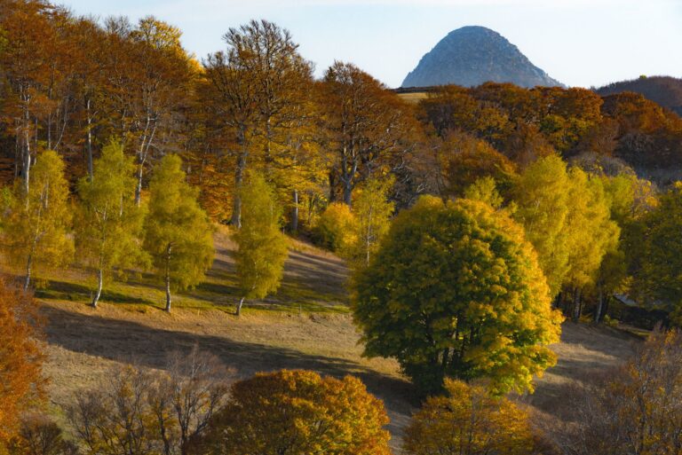 Pourquoi choisir la randonnée équestre en Auvergne ?